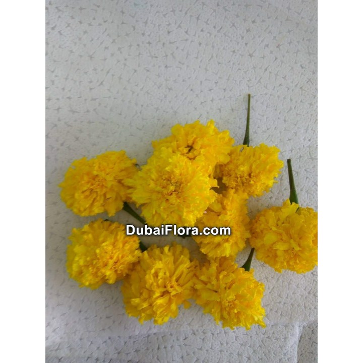 Fresh Yellow Marigold Flowers Loose (Genda)