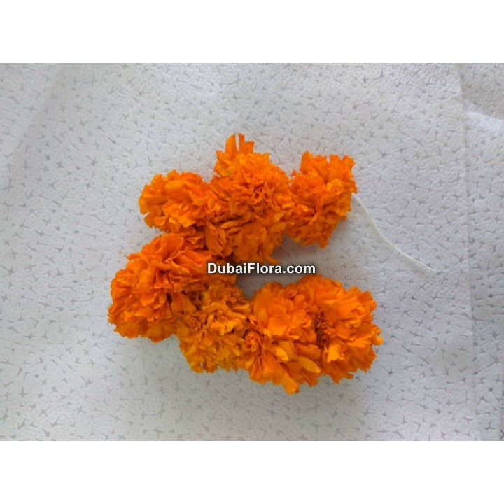 Fresh Orange Marigold Strings (Genda Gende Ki Ladi Lari)