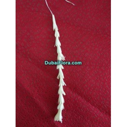 Fresh Tuberose Flower String (Rajnigandha / Gulchadi) – Price per Metre