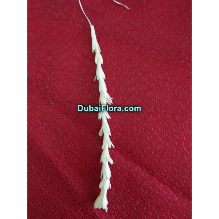 Fresh Tuberose Flower String (Rajnigandha / Gulchadi) – Price per Metre