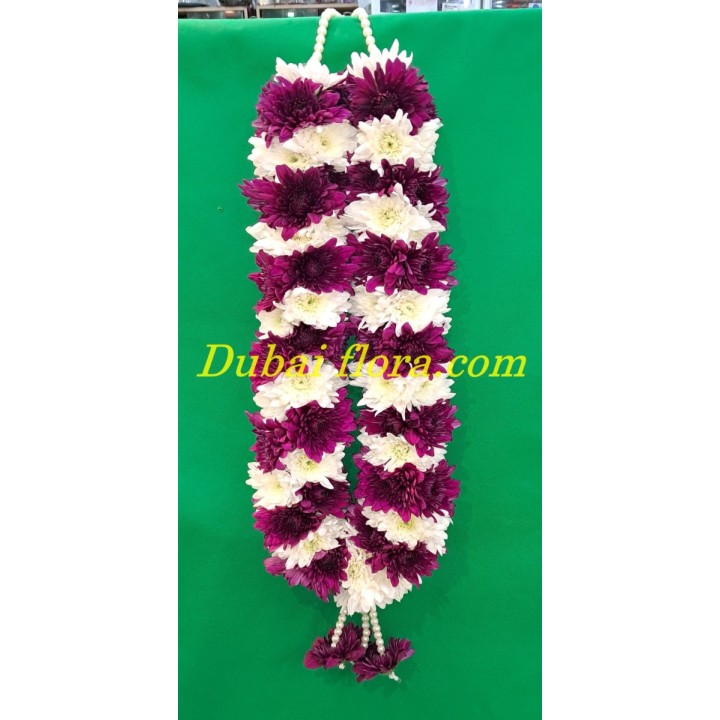 Fresh Garland Combination of Dark Purple and White Chrysanthemum