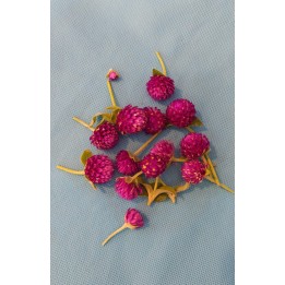 Fresh Vadamalli Flowers Loose (Globe Amaranth)