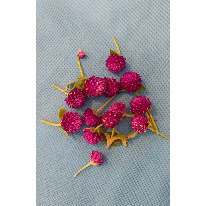 Fresh Vadamalli Flowers Loose (Globe Amaranth)