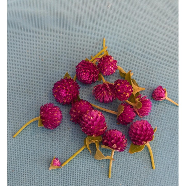 Fresh Vadamalli Flowers Loose (Globe Amaranth)