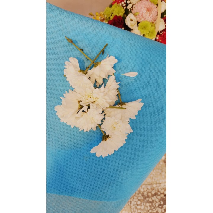 Fresh White Chrysanthemum Flowers Loose (Shewanti)