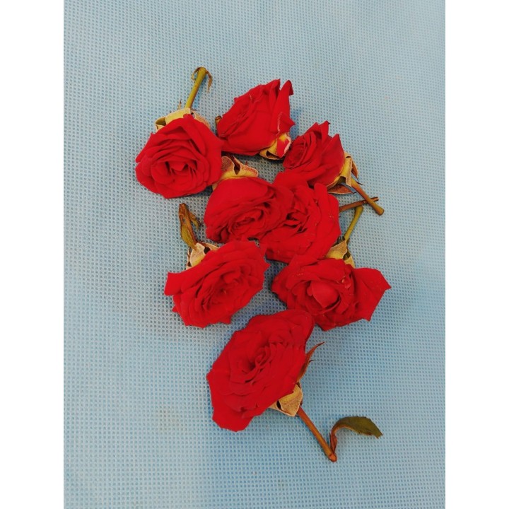 Fresh Red Button Roses Loose (Baby Roses)