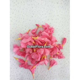 Fresh Loose Pink Oleander Flowers (Arali) – 100 g Pack