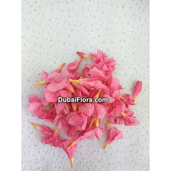 Fresh Loose Pink Oleander Flowers (Arali) – 100 g Pack