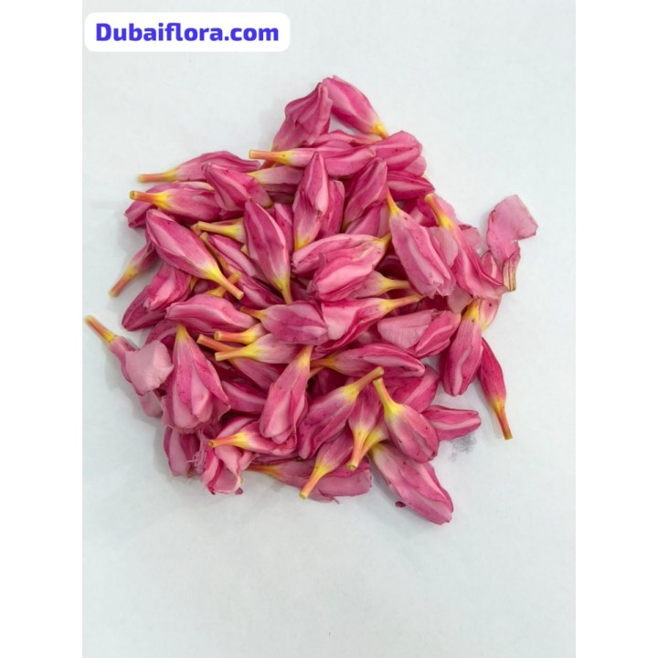 Fresh Loose Pink Oleander Flowers (Arali) – 100 g Pack