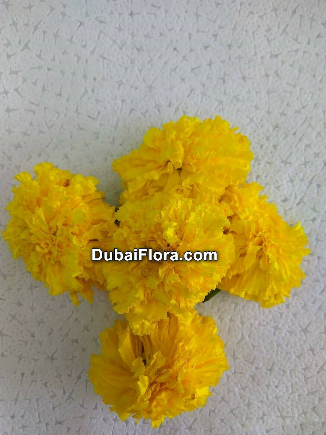 Marigold