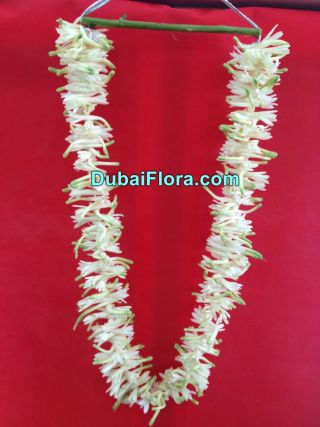 Plain White Tuberose Garland – 20 Inches