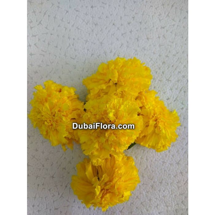 زهور القطيفة الصفراء فضفاضة (جيندا)