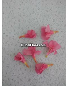 Pink Oleander Flowers (Arali)