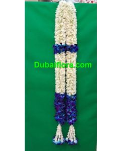 Graduation garland with fresh tube roses and blue orkit