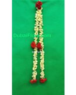 Jasmine Gajra for Hair roses